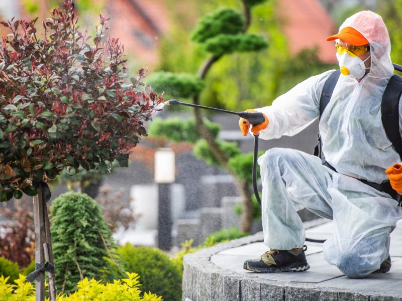 Cizre Haşere İlaçlama